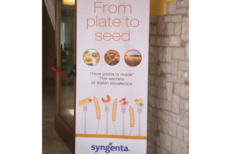 Grano Armando coltivato da 653 imprese L&rsquo;export fa l&rsquo;80% del fatturato