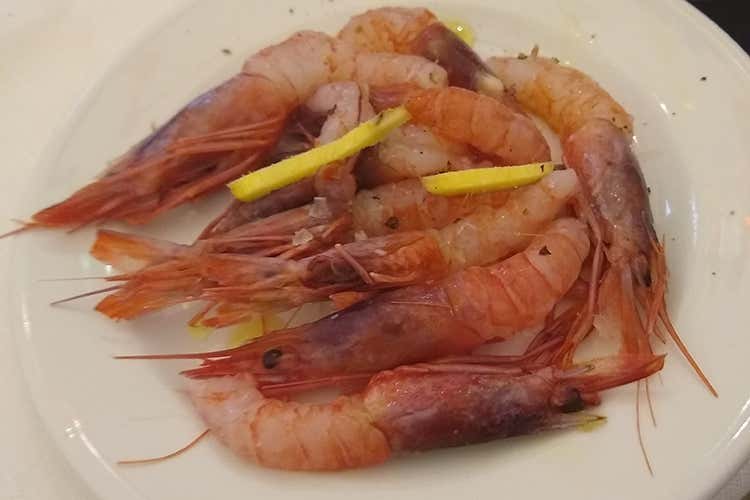 Pescato salentino (Grano, olio, vino e mare Il Salento tra gusto e bellezza) Pescato salentino (Grano, olio, vino e mare Il Salento tra gusto e bellezza)