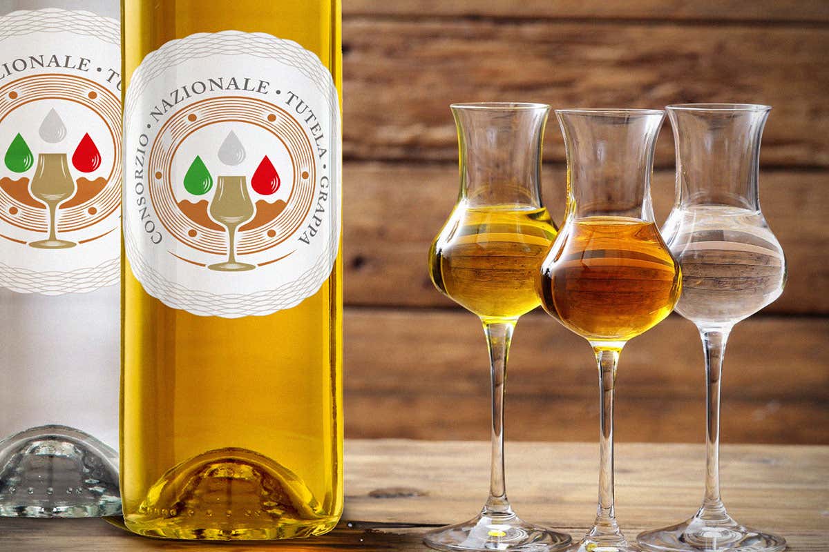 Grappa: il ruolo del Consorzio e di AssoDistil nella tutela del distillato italiano Grappa: il ruolo del Consorzio e di AssoDistil nella tutela del distillato italiano
