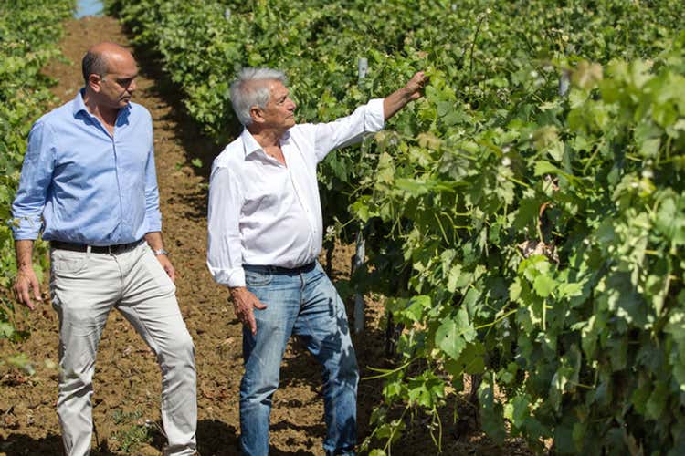 Mario e Renato Di Lorenzo - Grecu di Livanti di Feudo Disisa Un rosato ideale per l’estate