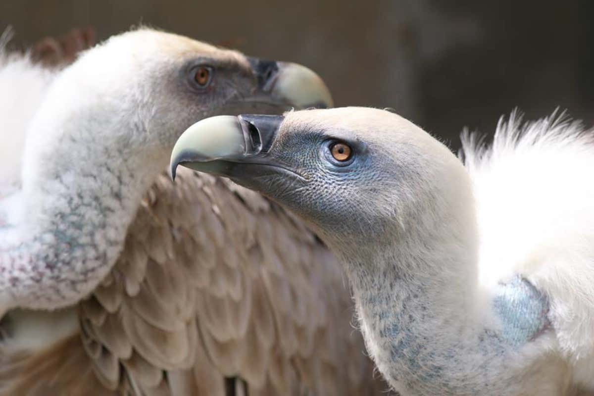 Primavera in famiglia? Ecco tutto quello che si può fare in Friuli-Venezia Giulia Primavera in famiglia? Ecco tutto quello che si può fare in Friuli-Venezia Giulia