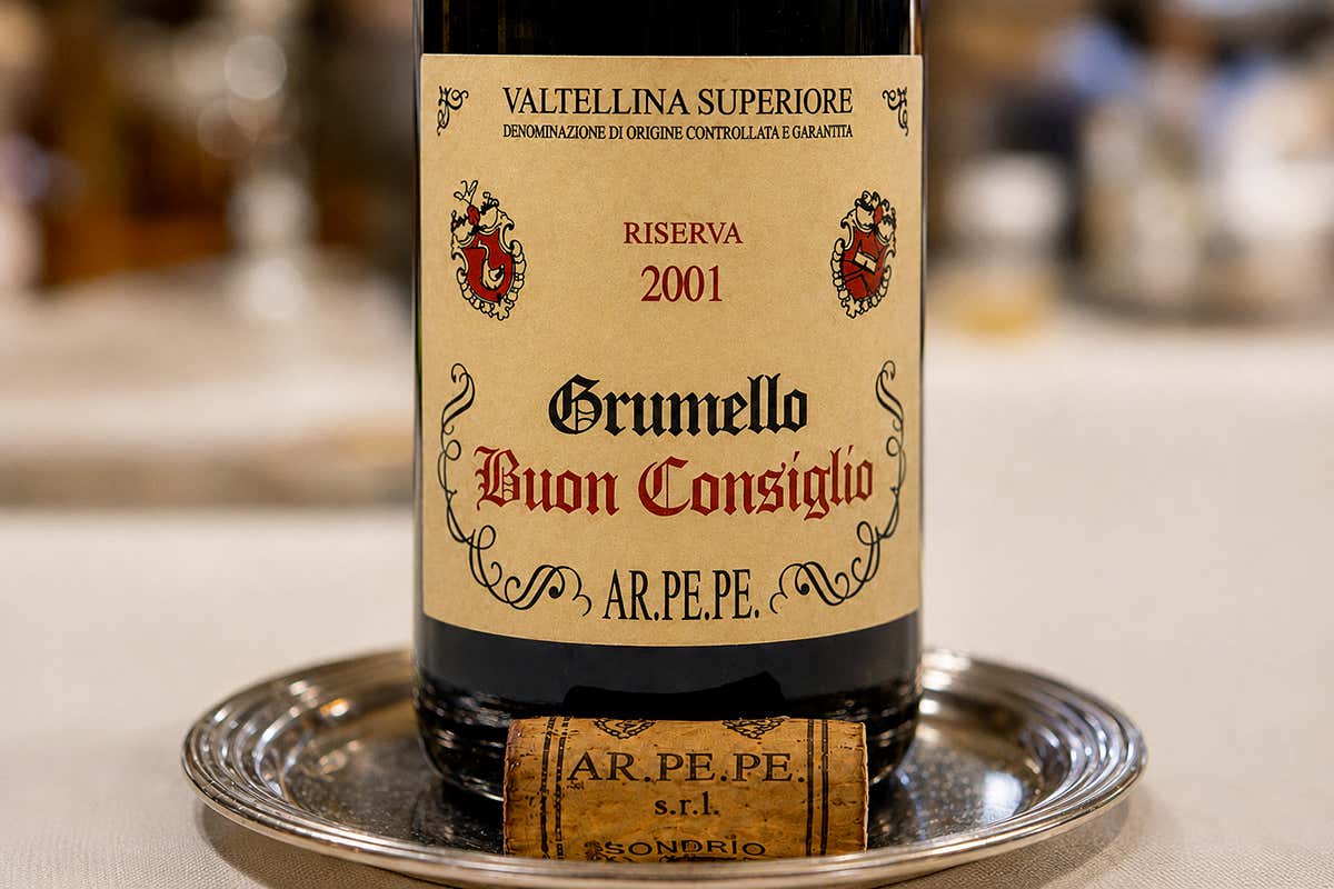 Il vino di montagna che a trent’anni mette in crisi molti rossi più famosi