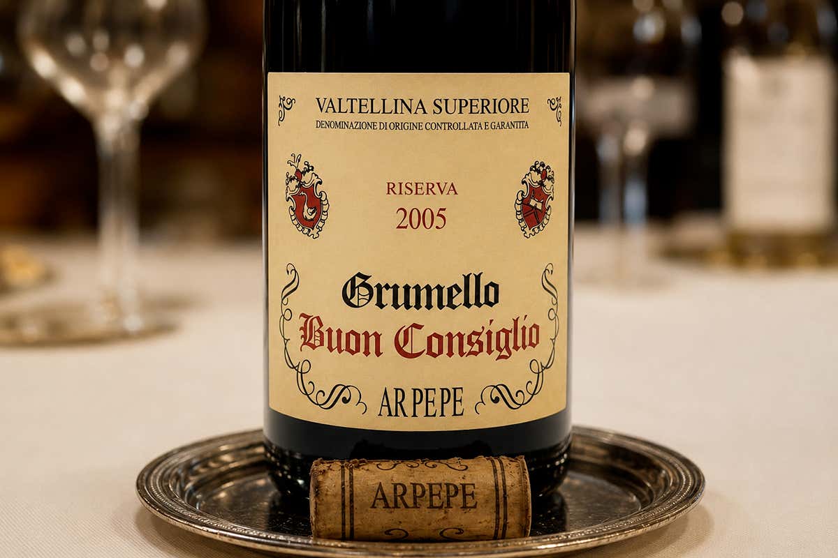 Il vino di montagna che a trent’anni mette in crisi molti rossi più famosi
