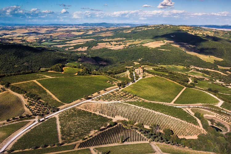 (Gruppo Illy, dal caffè allo champagne e un progetto di ospitalità nel business) (Gruppo Illy, dal caffè allo champagne e un progetto di ospitalità nel business)