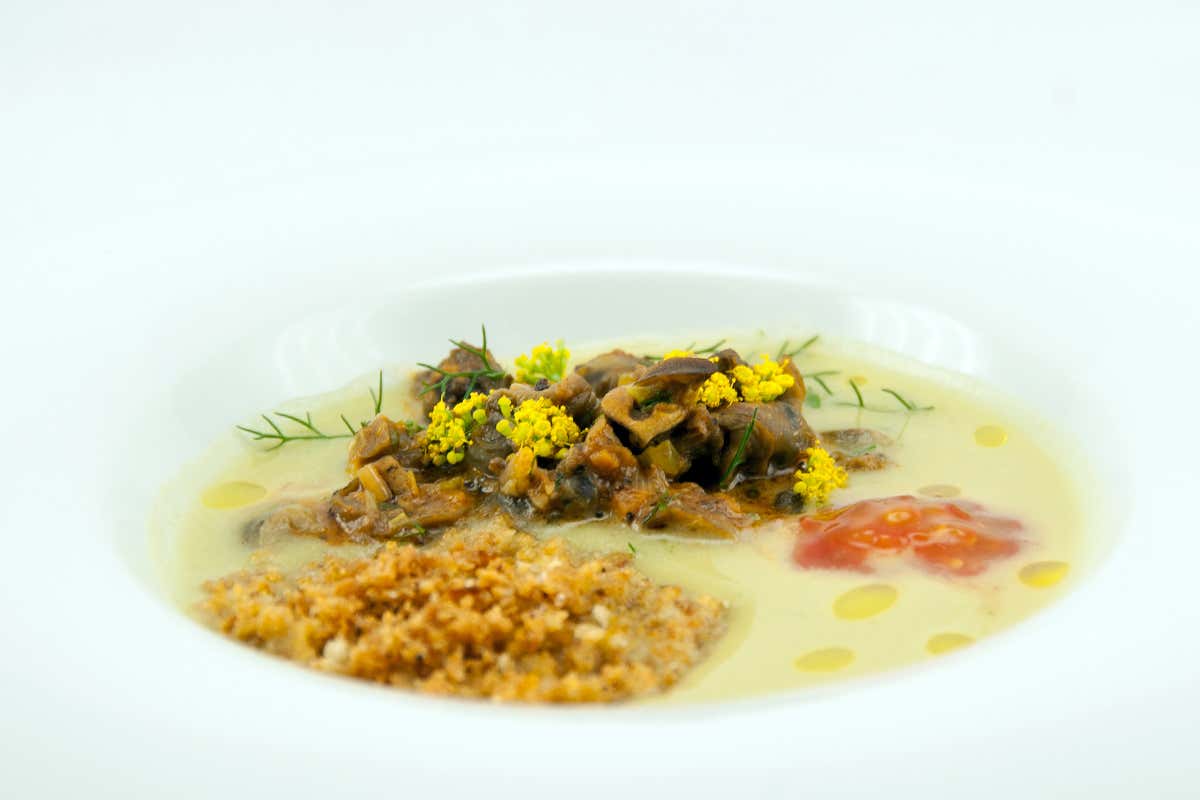 Passatina di finocchietto selvatico, lumache di terra, semi di pomodoro crudo, polvere di bruschetta Passatina di finocchietto selvatico, lumache di terra, semi di pomodoro crudo, polvere di bruschetta