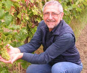 Guerrino Saviotti
