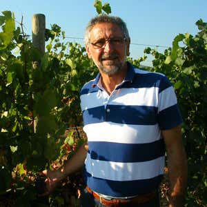Guerrino Saviotti
