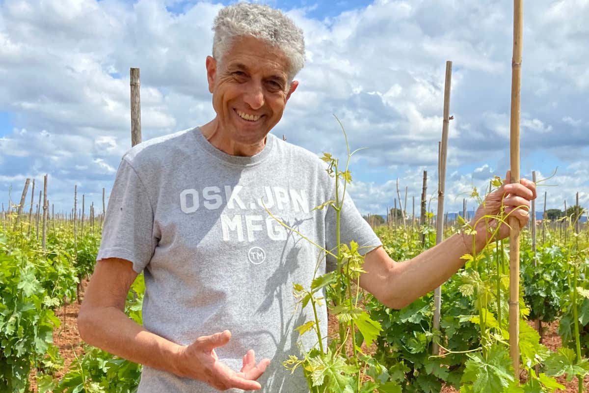 Guglielmo Manenti nuovo presidente Consorzio del Cerasuolo di Vittoria Guglielmo Manenti nuovo presidente Consorzio del Cerasuolo di Vittoria