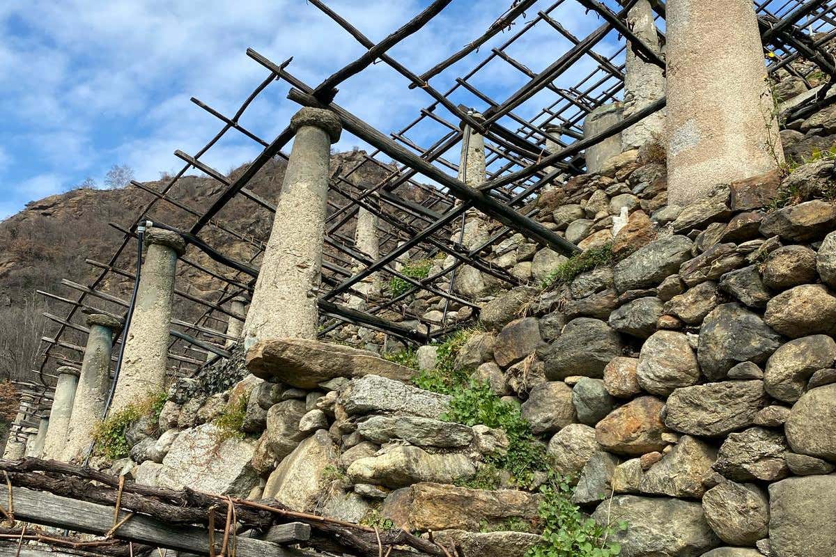 Tra Piemonte e Valle d’Aosta sopravvive una delle viticolture più estreme d’Italia
