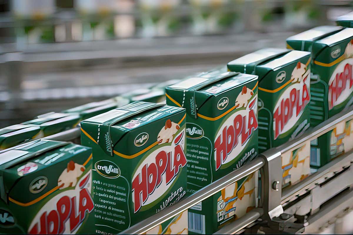 Trevalli Cooperlat ha raggiunto anche i mercati internazionali con Hoplà Trevalli Cooperlat: oltre alla tradizione del latte i prodotti innovativi vegetali