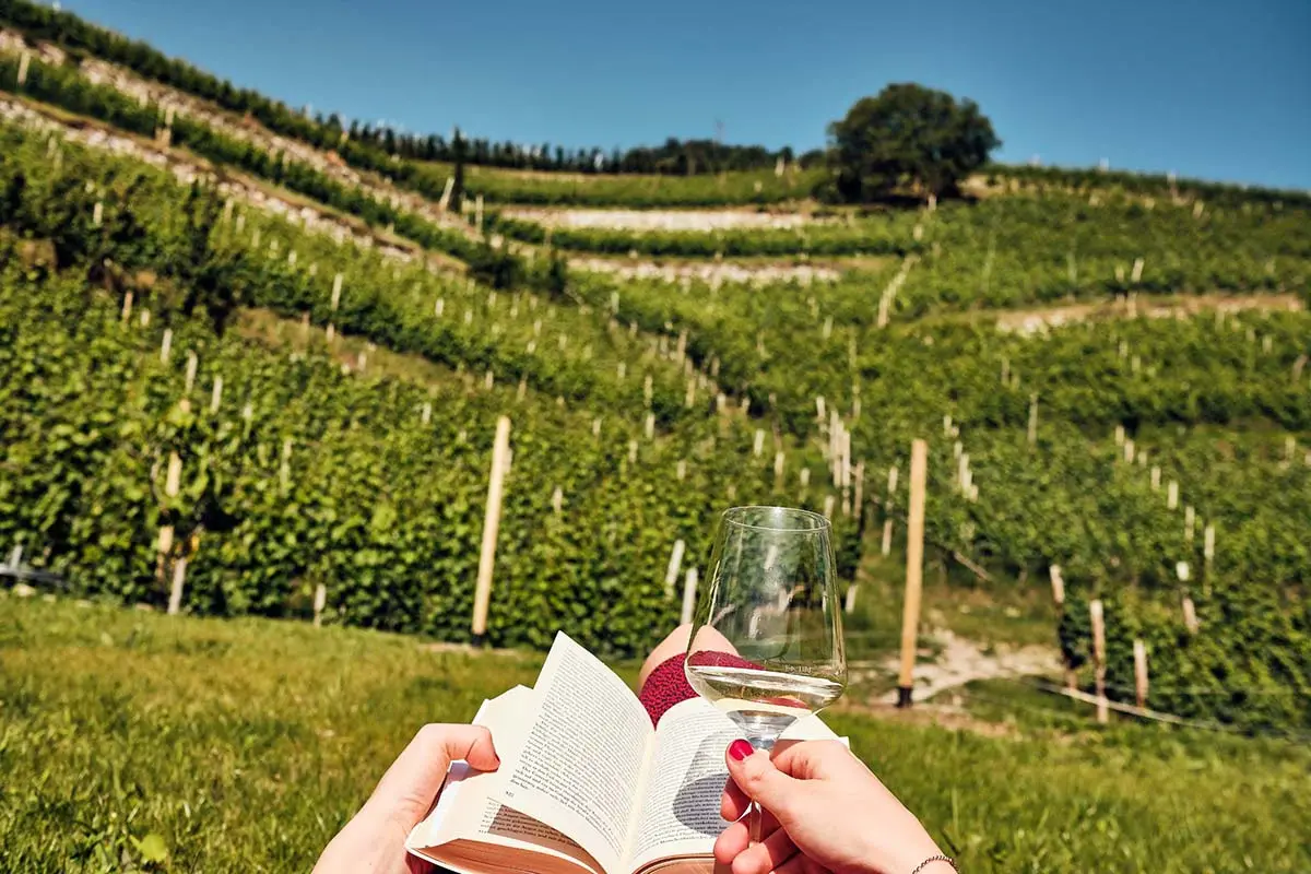 Haller Suites &amp; Restaurant a Kranebitt, sulle colline di Bressanone. Foto: Tim Schardt Camera con vi... gna Indirizzi per dormire in un vigneto