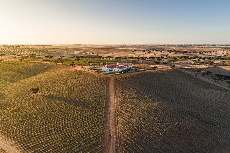 Herdade de Maladinha Nova Foto: Joao Guimaraes In viaggio rispettando la Terra? 16 indirizzi in Italia e nel mondo