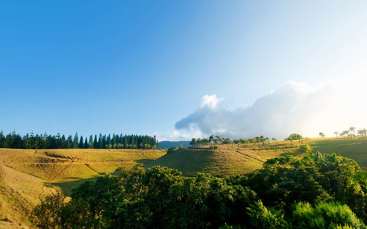 Heritage Nature Reserve Cosa fare in paradiso? Le possibilità di Mauritius dove oltre la spiaggia c’è di più Heritage Nature Reserve Cosa fare in paradiso? Le possibilità di Mauritius dove oltre la spiaggia c’è di più