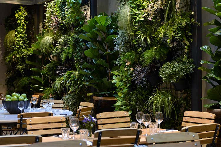 Hosteria del Mercato cibo naturale organico e sostenibile a tutte le ore Hosteria del Mercato cibo naturale organico e sostenibile a tutte le ore