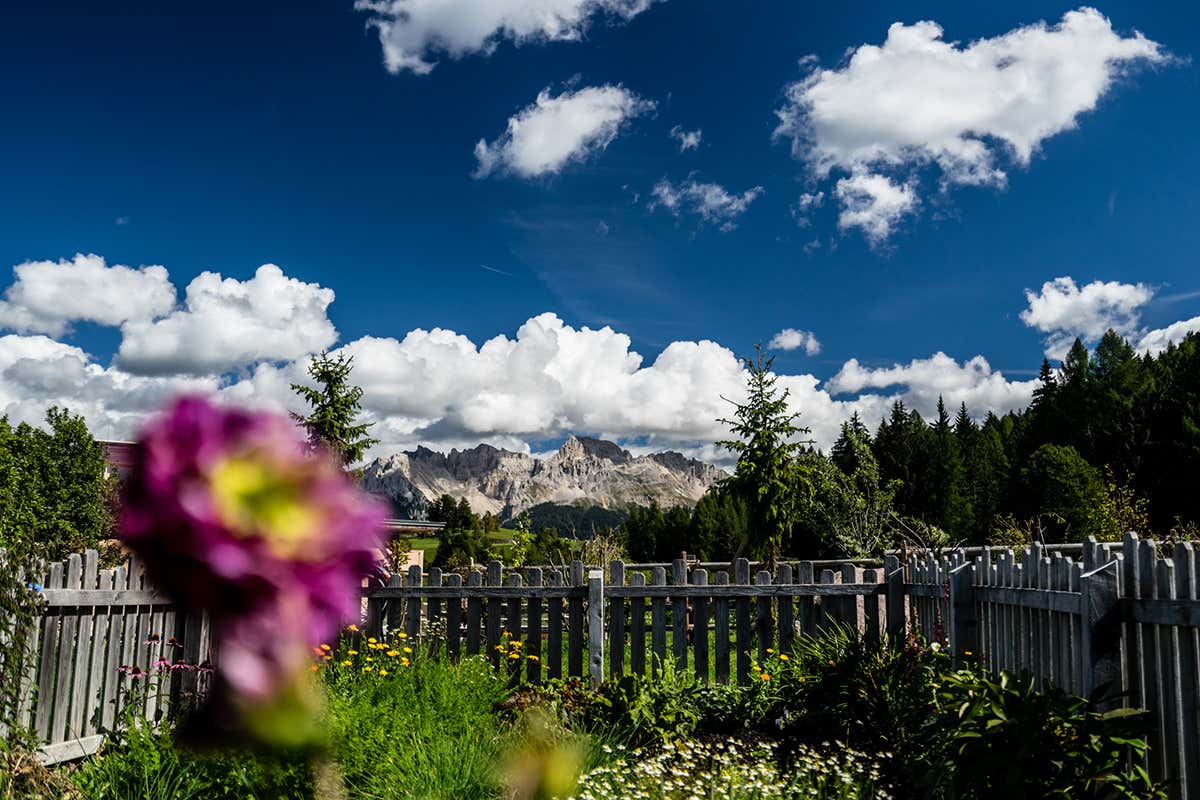 Hotel Pfösl in Val d'Ega Cosa “cresce” al ristorante? I migliori locali italiani con l’orto