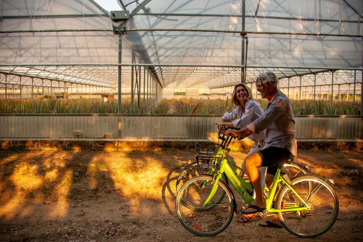 Hotel Naturals Bio Resort & spa Non vedi l'ora di salire sui pedali? Ecco alcuni bike hotel con una marcia in più