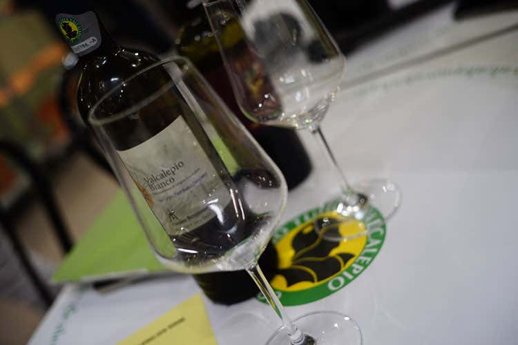 (I 40 anni del Consorzio Valcalepio Vino, ma anche arte e musica) (I 40 anni del Consorzio Valcalepio Vino, ma anche arte e musica)
