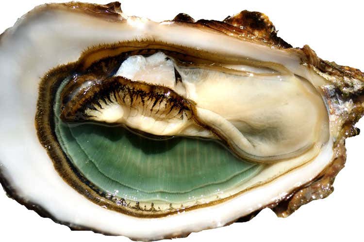 (I Love Ostrica al Premio Italia a Tavola Due degustazioni con tre specialit&agrave;)