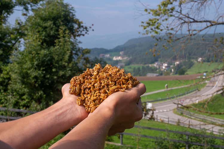 I Maestri raccontano... Distillare sull&rsquo;Altopiano di Siusi