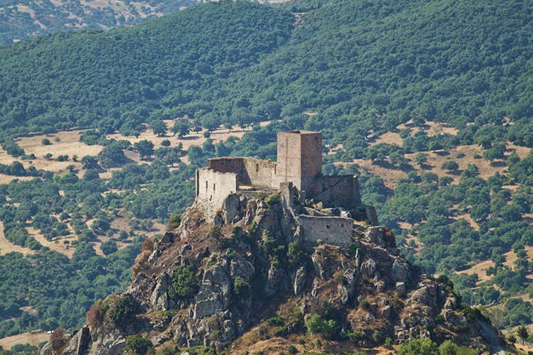 Castello di Burgos - I Maestri raccontano... Il Goceano, luogo di riscoperta Castello di Burgos - I Maestri raccontano... Il Goceano, luogo di riscoperta