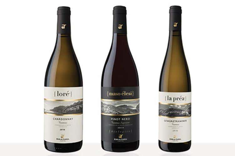 (I Trentino Superiore Doc e Peperò Le novità di Agraria Riva del Garda) (I Trentino Superiore Doc e Peperò Le novità di Agraria Riva del Garda)