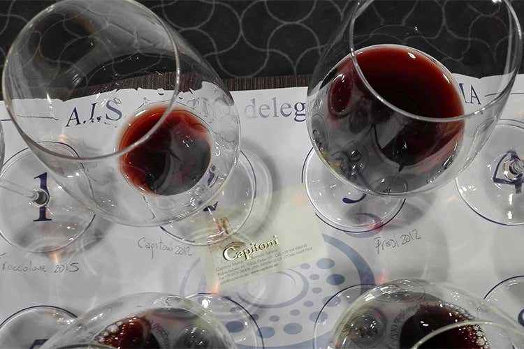 I vini Orcia Doc di Marco Capitoni in abbinamento ai pecorini toscani I vini Orcia Doc di Marco Capitoni in abbinamento ai pecorini toscani