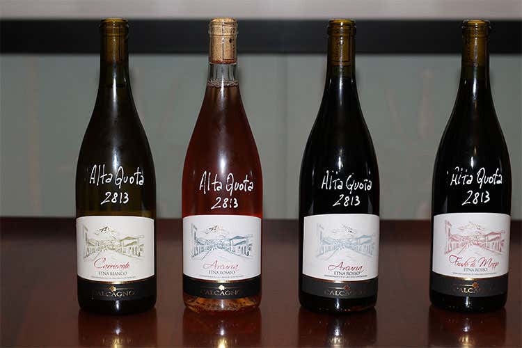 I vini dell'azienda Calcagno ad alta quota Pi&ugrave; finezza ed eleganza all'assaggio