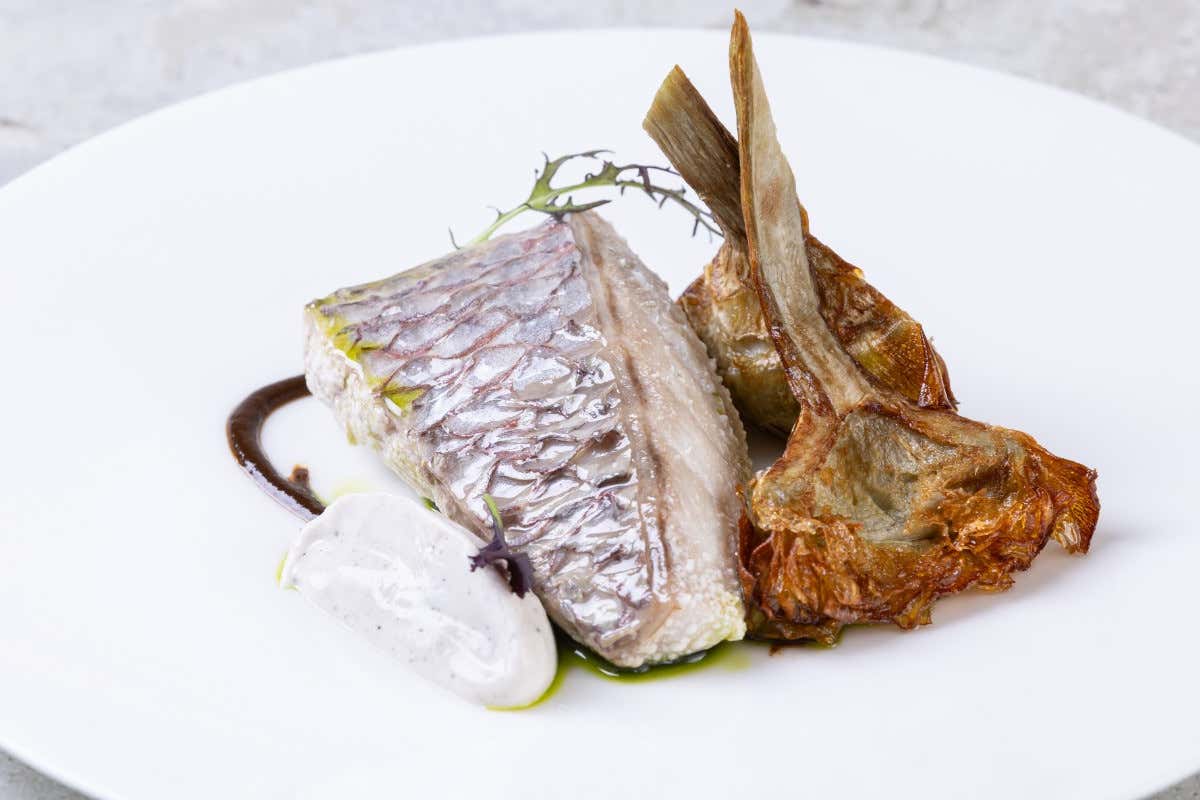 Seven Restaurant: Dentice in olio cottura, pil pil, carciofi, aglio nero