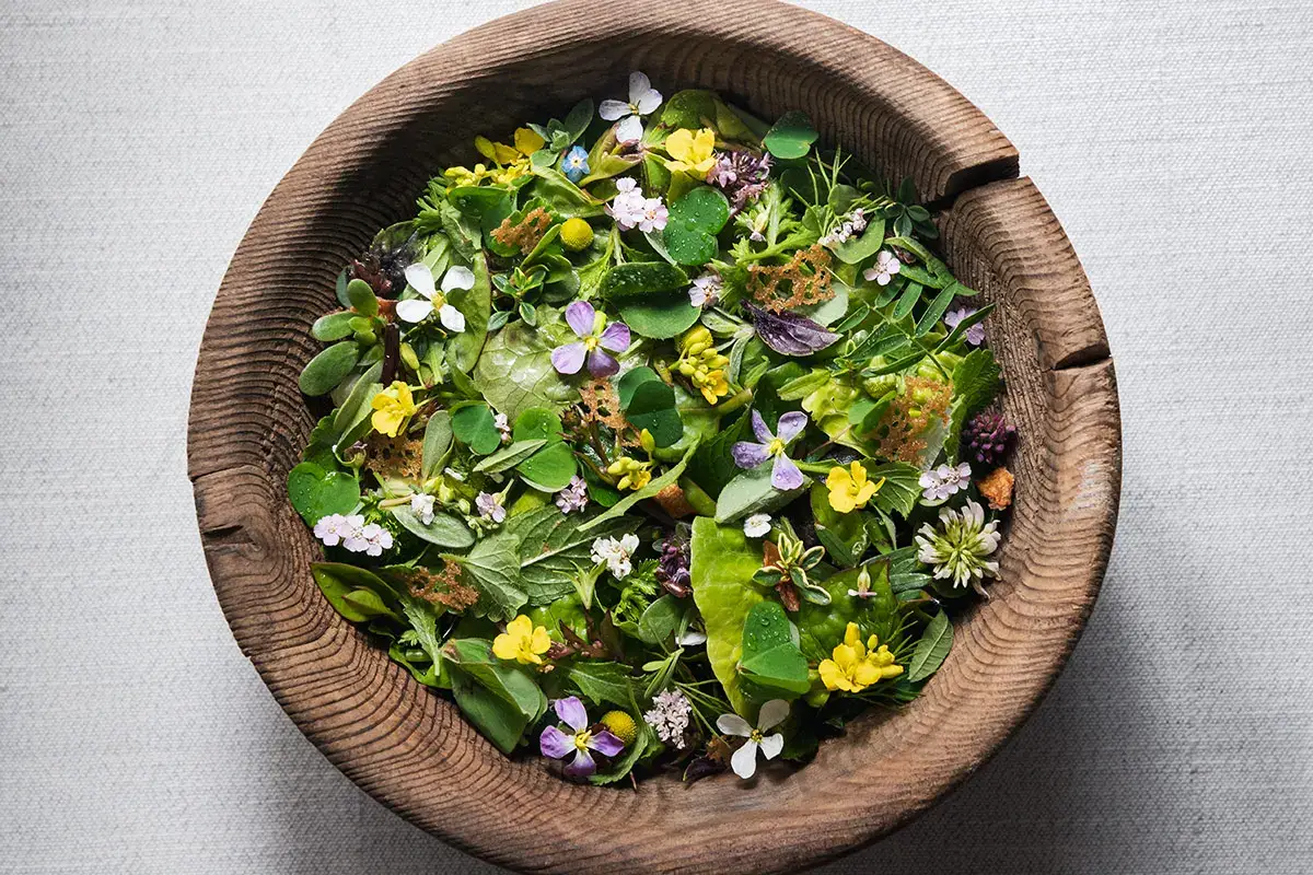 Insalata di montagna - foto Alex Moling Insalata di montagna