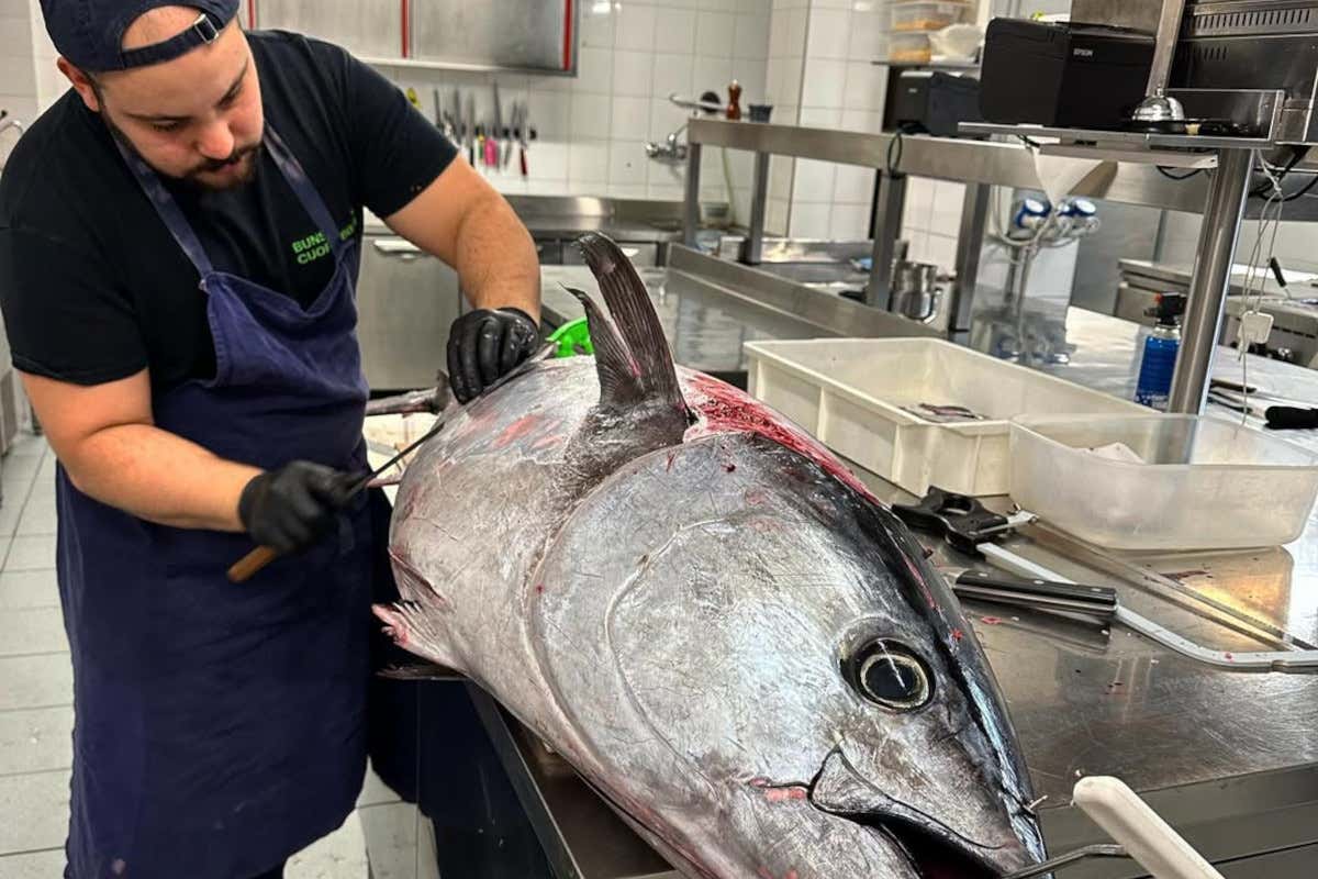 Tutto parte dalla materia prima