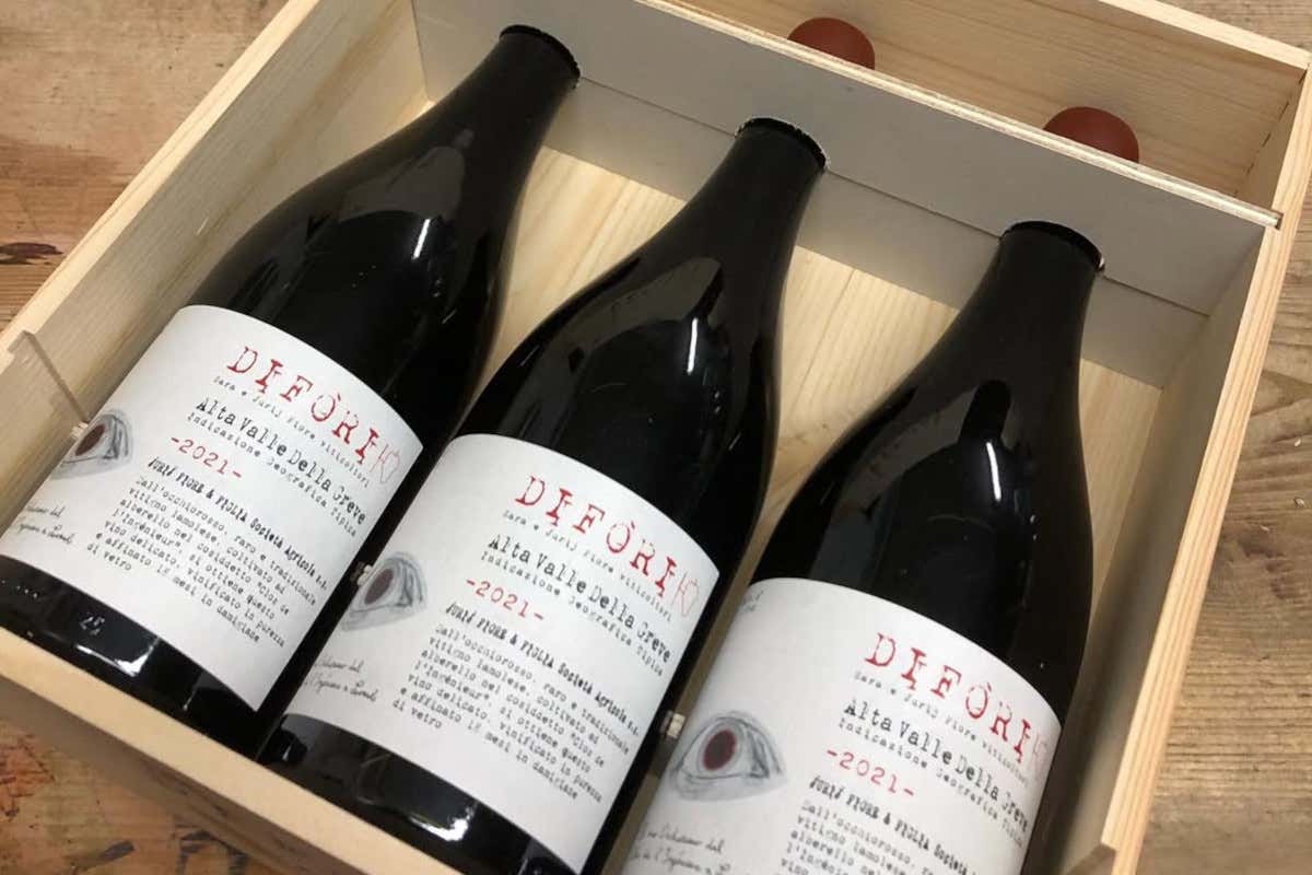 Jurij Fiore e l’identità di Lamole: una lettura autentica del Chianti Classico Jurij Fiore e l’identità di Lamole: una lettura autentica del Chianti Classico