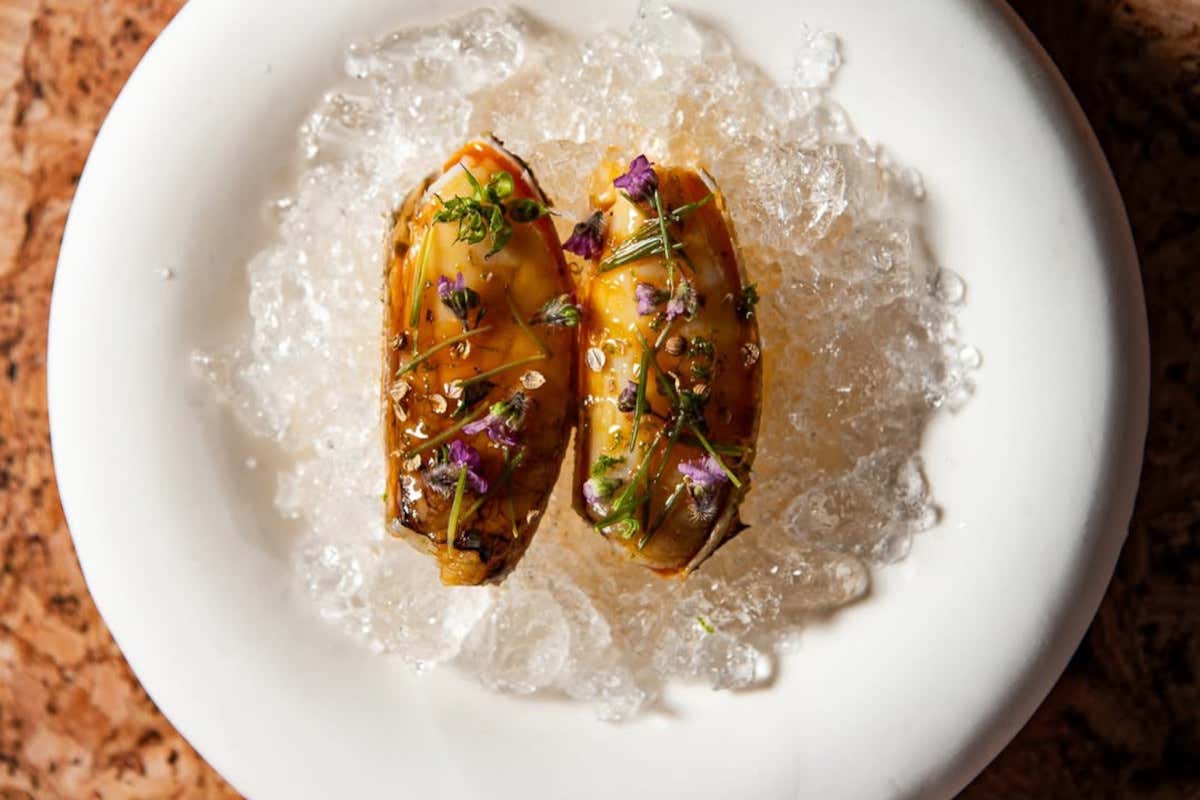 Granchio Dungeness condito con salsa al tuorlo d'uovo, pinoli, coriandolo e shiso