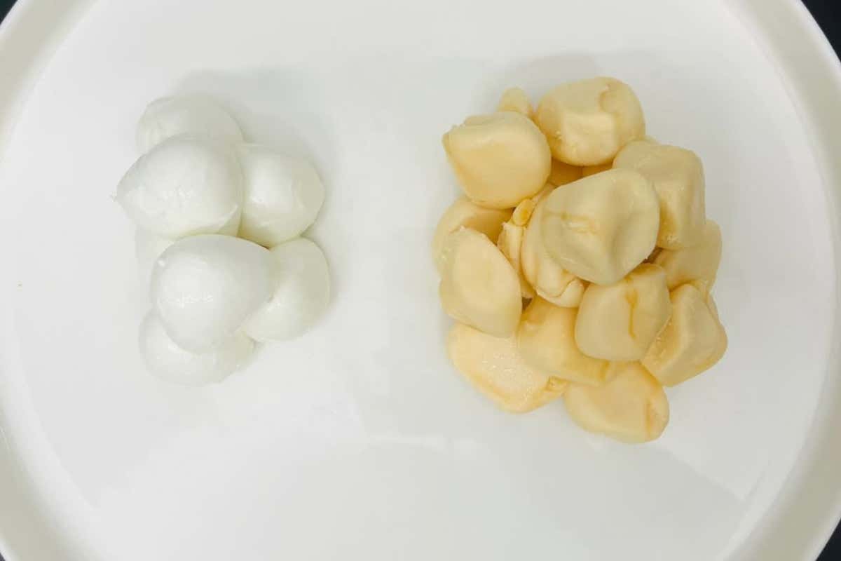 Coppola mozzarella - Mozzarella: stesso prodotto, ma 60 giorni di maturazione Mozzarella: stesso prodotto, ma 60 giorni di maturazione