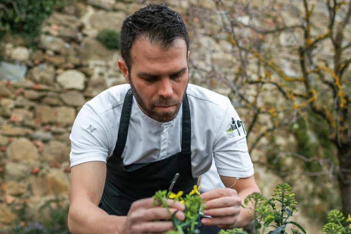 Il bosco nel piatto: come i grandi chef trasformano i funghi in arte