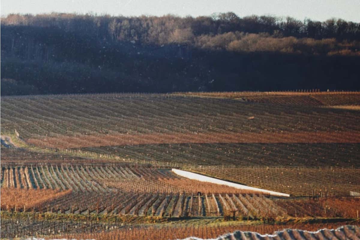 Ruinart Blanc Singulier, quando lo Chardonnay racconta un’annata incandescente