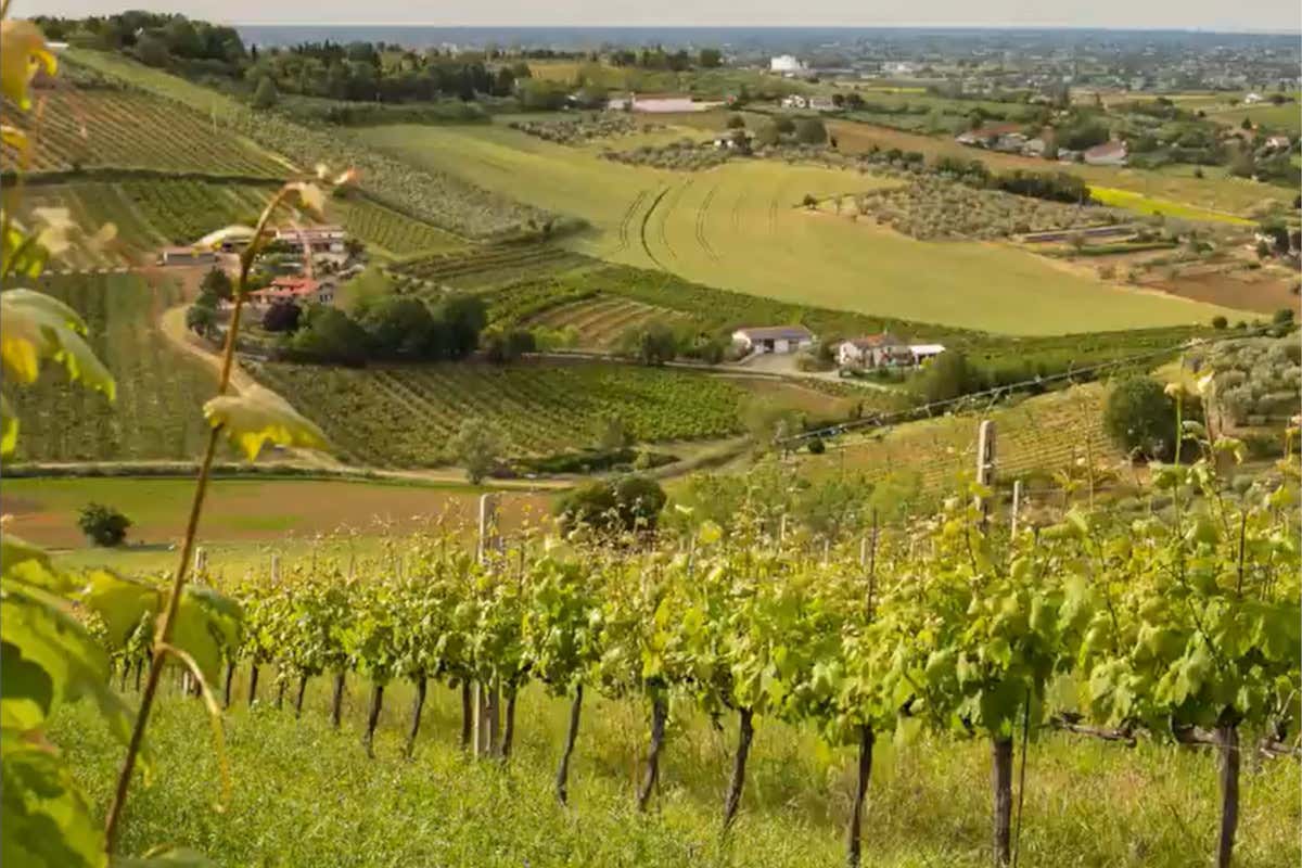 Vistamare, l'azienda agricola dello chef Carlo Cracco e della moglie Rosa Fanti, diventerà anche agriturismo