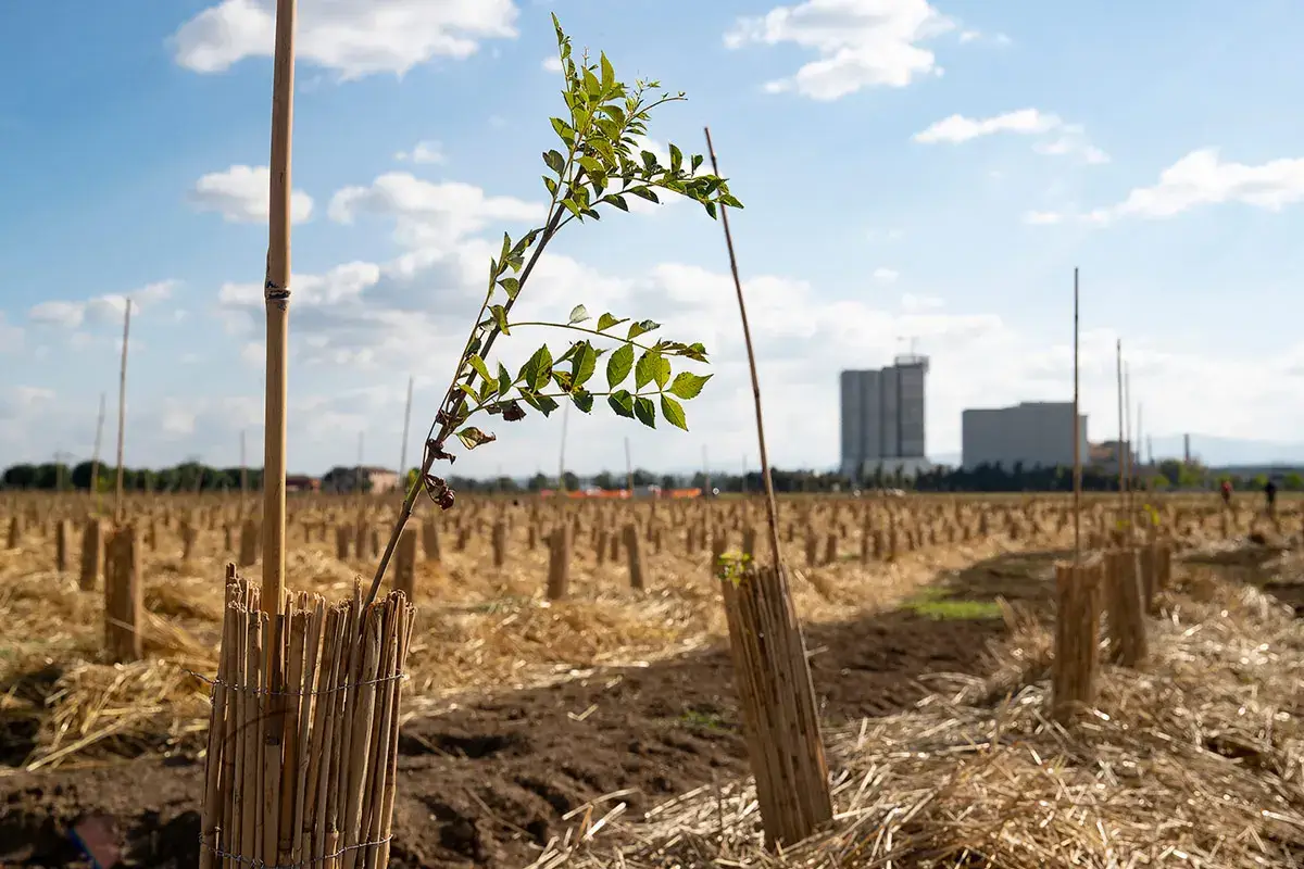 Il Bosco del Molino (foto: Annarita Melegari) &ldquo;Il Bosco del Molino&rdquo;, nuova casa per lo sviluppo di progetti ecosostenibili