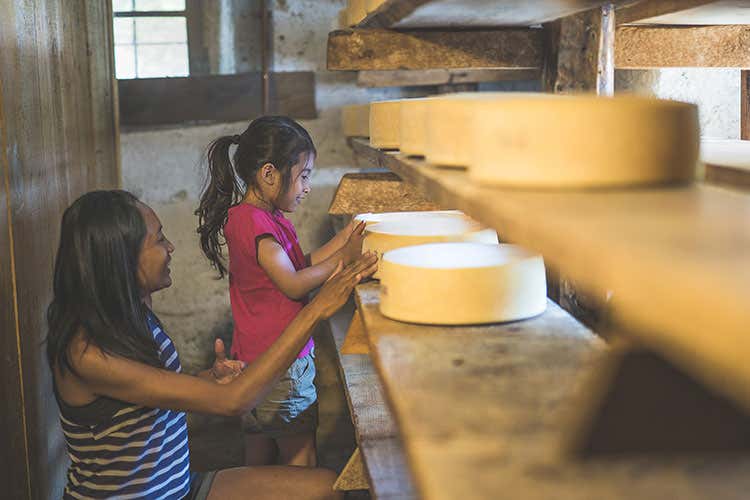 Il Cheese Festival in Val di Sole Un percorso sensoriale di tre settimane