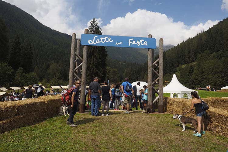 Il Cheese Festival in Val di Sole Un percorso sensoriale di tre settimane