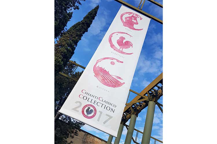 Il Gallo Nero, crescita costante dal 2009  Zingarelli: Valore al territorio d'origine