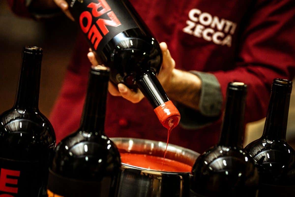 Il Nero, la punta di diamante di Conti Zecca