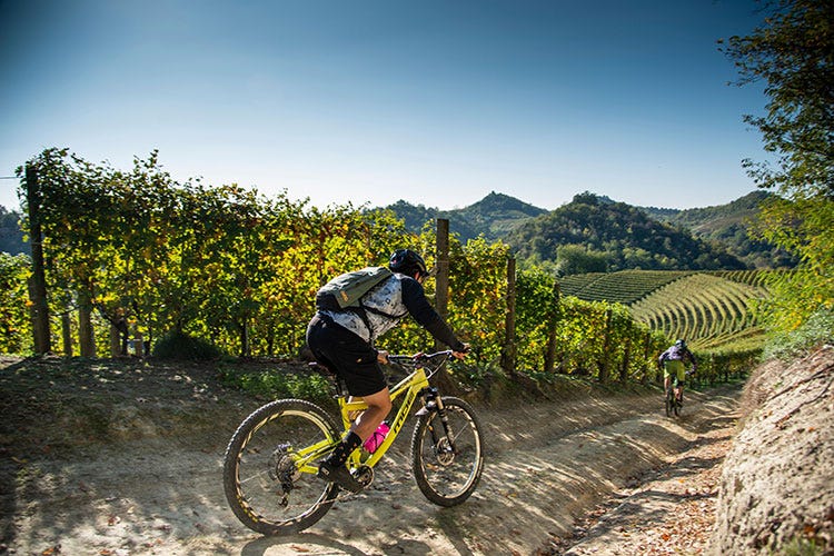 Tra i Wine tours estivi 4 nuovi percorsi in bike e a piedi  - Il Roero punta al turismo Tra percorsi, vino e buon cibo