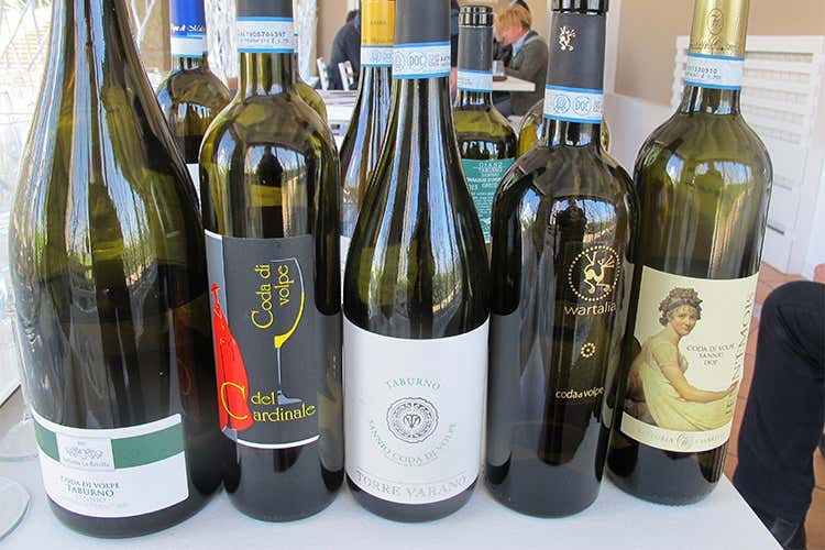 Il Sannio, simbolo di Benevento Percorsi per scoprire il territorio Il Sannio, simbolo di Benevento Percorsi per scoprire il territorio