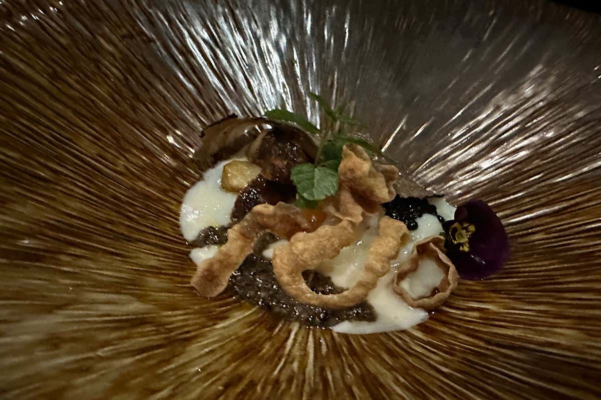 Il bosco e l'uovo cotto a bassa temperatura, funghi e tartufo Sempre più charme a Il Falconiere: la nuova sala valorizza l’alta cucina di Silvia Baracchi