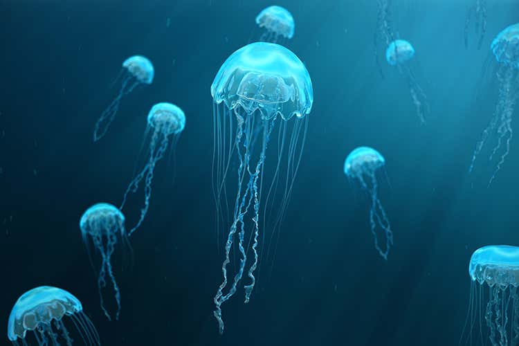 Le meduse rappresenterebbero un’alternativa sostenibile - Il fish and chips del futuro?A base di meduse Le meduse rappresenterebbero un’alternativa sostenibile - Il fish and chips del futuro?A base di meduse