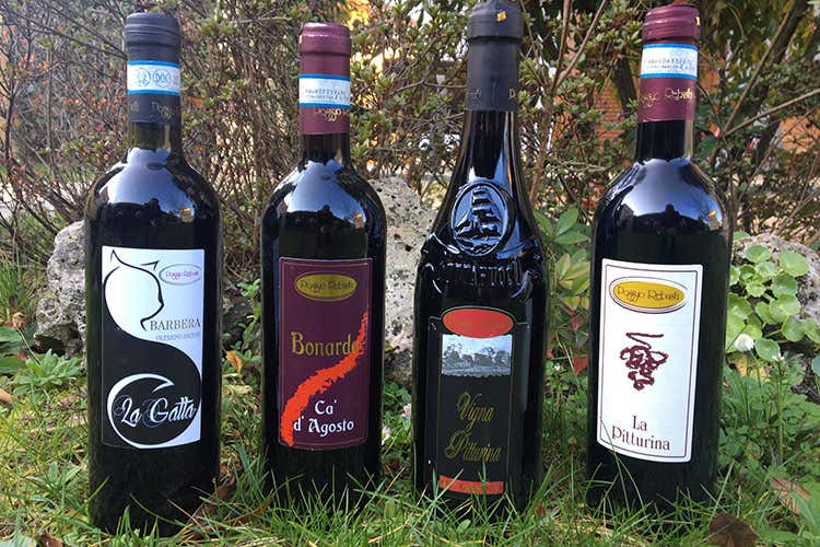 Il futuro di Poggio Rebasti cantina ristrutturata e online