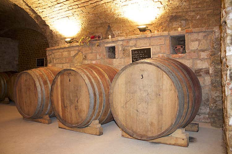 Il futuro di Poggio Rebasti cantina ristrutturata e online