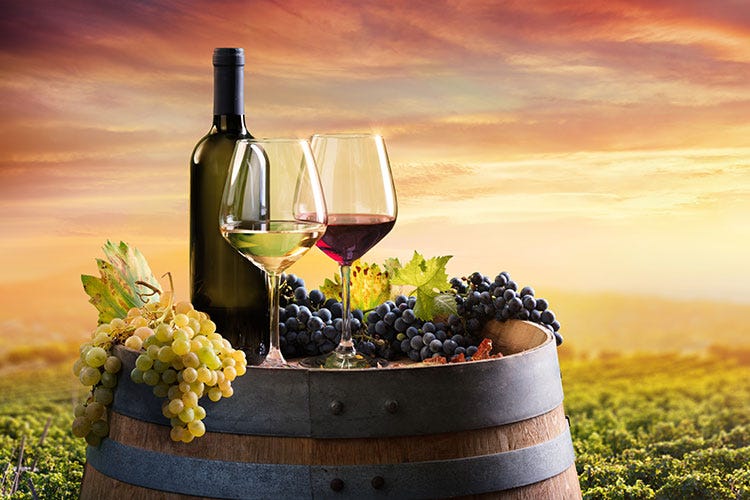 (Il mondo del vino dal 1982 ad oggi Fondamentale la qualità della vigna)