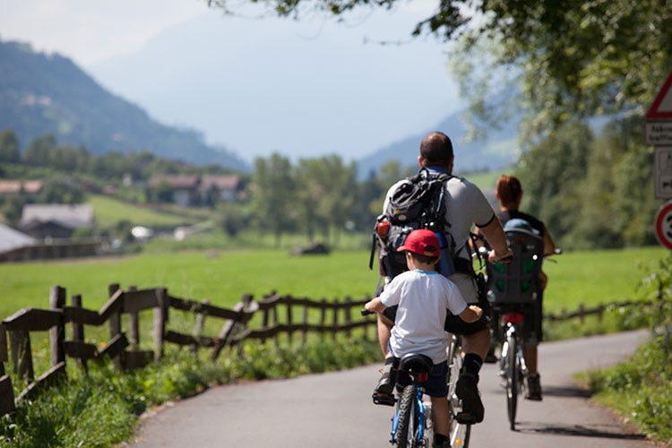 (Il Trentino Alto Adige in bicicletta Un tour per scoprire sapori e territorio)