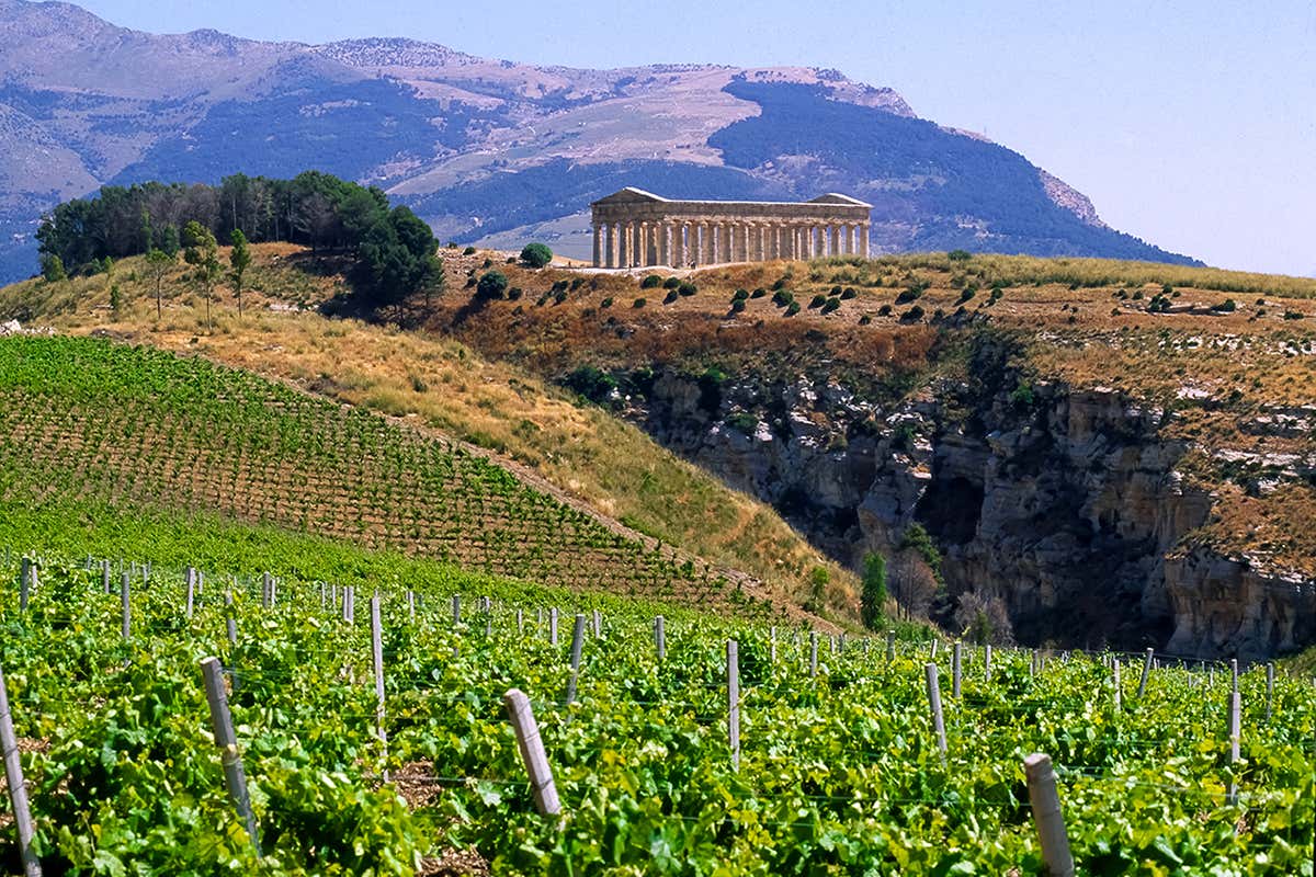 Doc Erice: come Fazio sta cambiando la mappa del vino siciliano